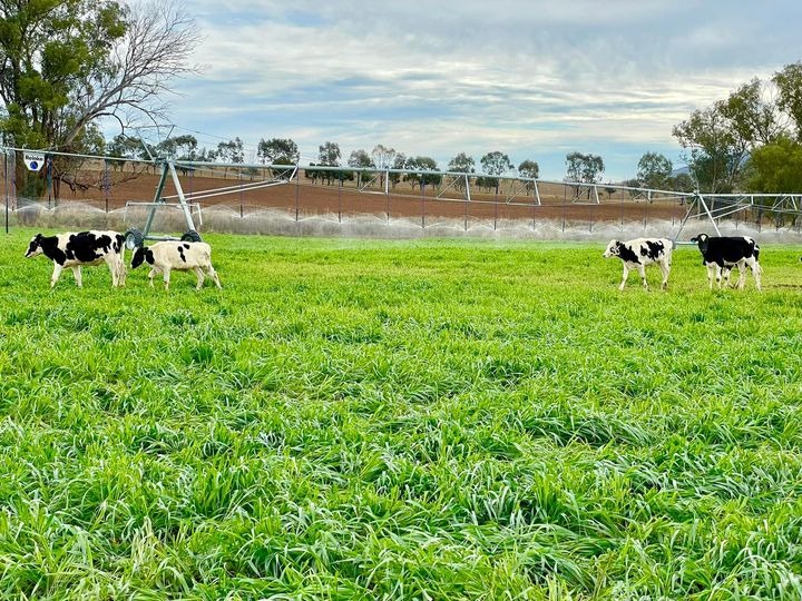 Loomberah Irrigation System